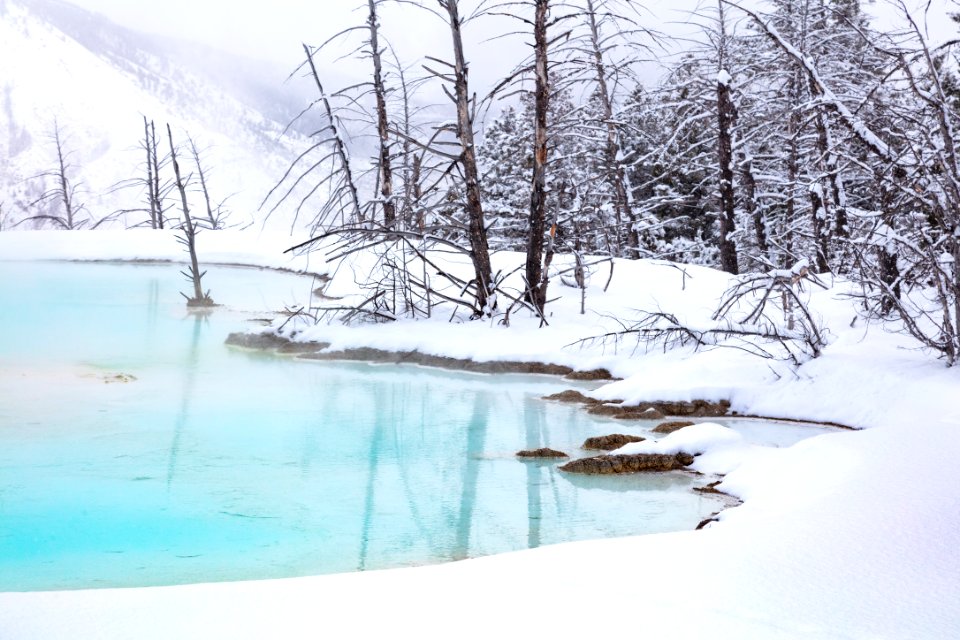 Newly formed pool at Canary Spring