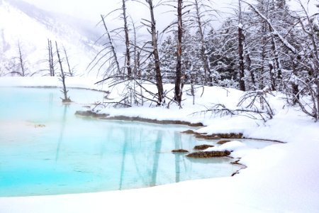 Newly formed pool at Canary Spring photo