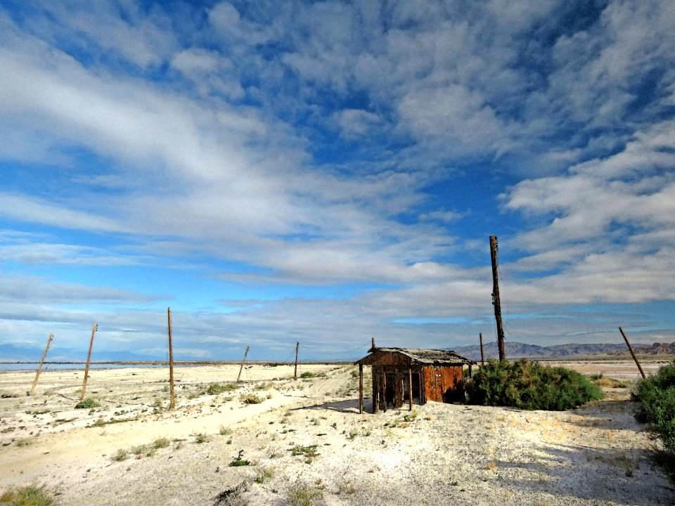 COVID 19 ESCAPE TRIP (4-7-2020) am at campsite at niland county park, imperial co, ca -02 PHOTOSHOP WATERCOLOR