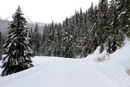Snow covered road near Pebble Creek photo
