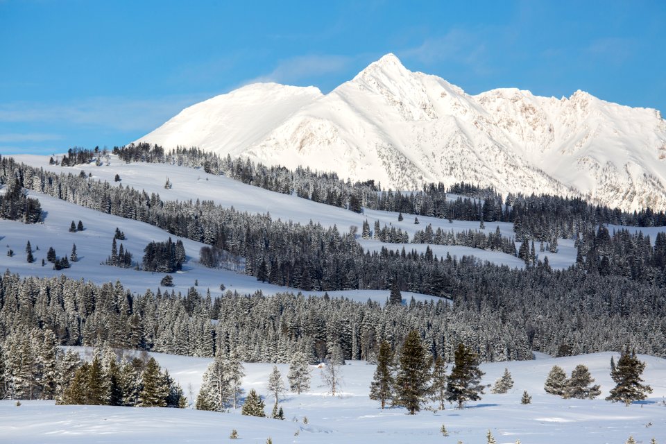 Winter morning, Electric Peak