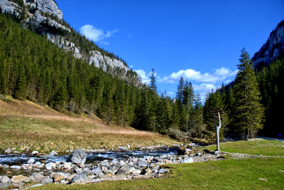 Spring tourism western tatras photo