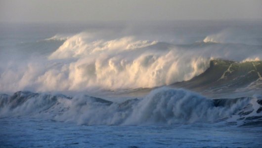 NORTH COAST (1-5-2021) howard landing, westport-union state beach, mendocino co, ca -12