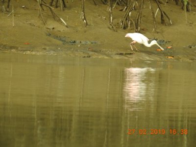 DSCN2708