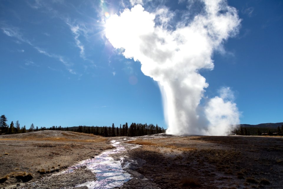 Old Faithful afternoon eruption