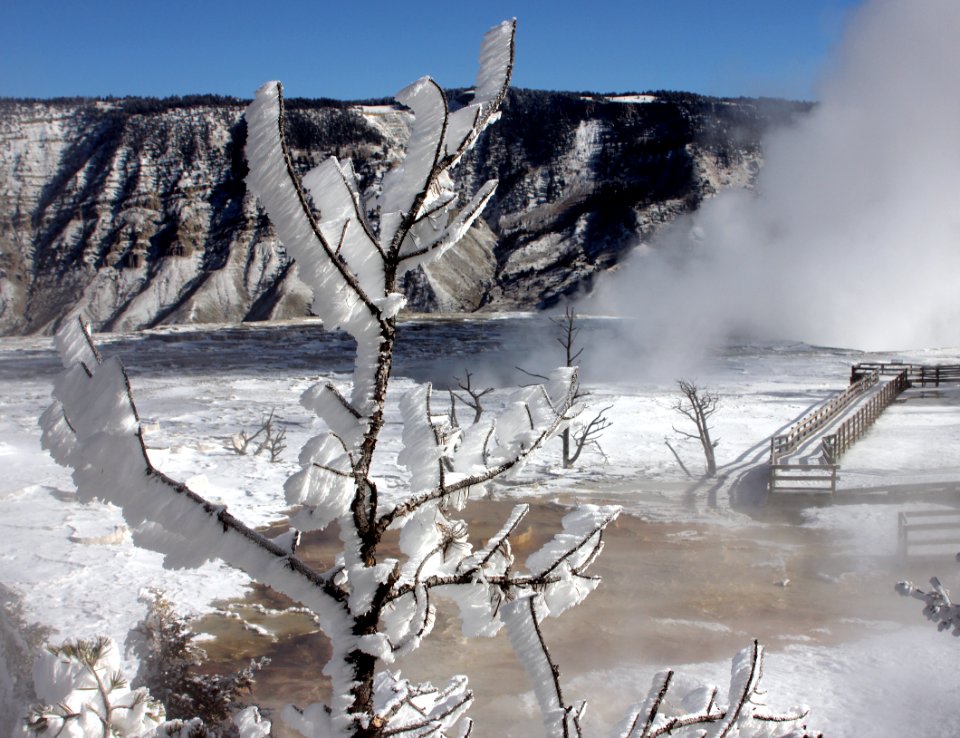 Mammoth Hot Springs and rime ice photo