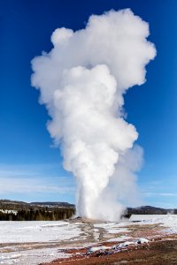 Old Faithful erupts on a clear winter day photo