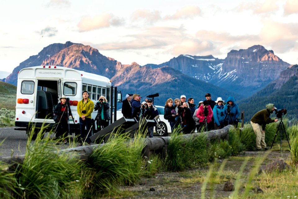 Wildlife watching in Lamar Valley with Yellowstone Forever