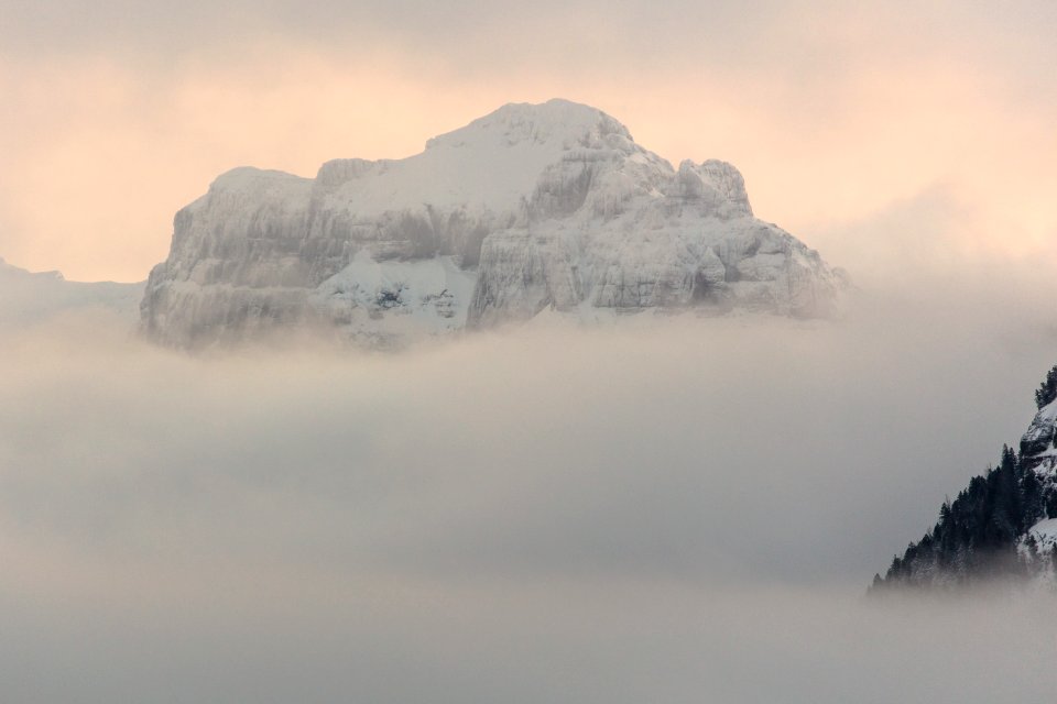 Amphitheater Mountain summit rising above the clouds