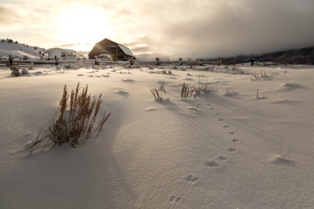 Sunrise at the Buffalo Ranch photo