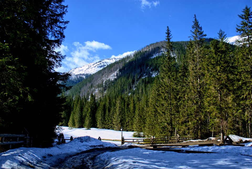 Spring tourism western tatras