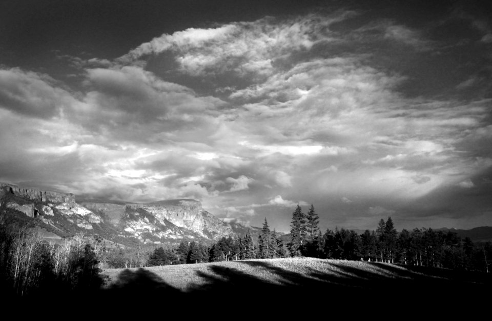 CAMPSITE (7-19-2015) 9600 ft, near bristol head, mineral co, co -BW (1)