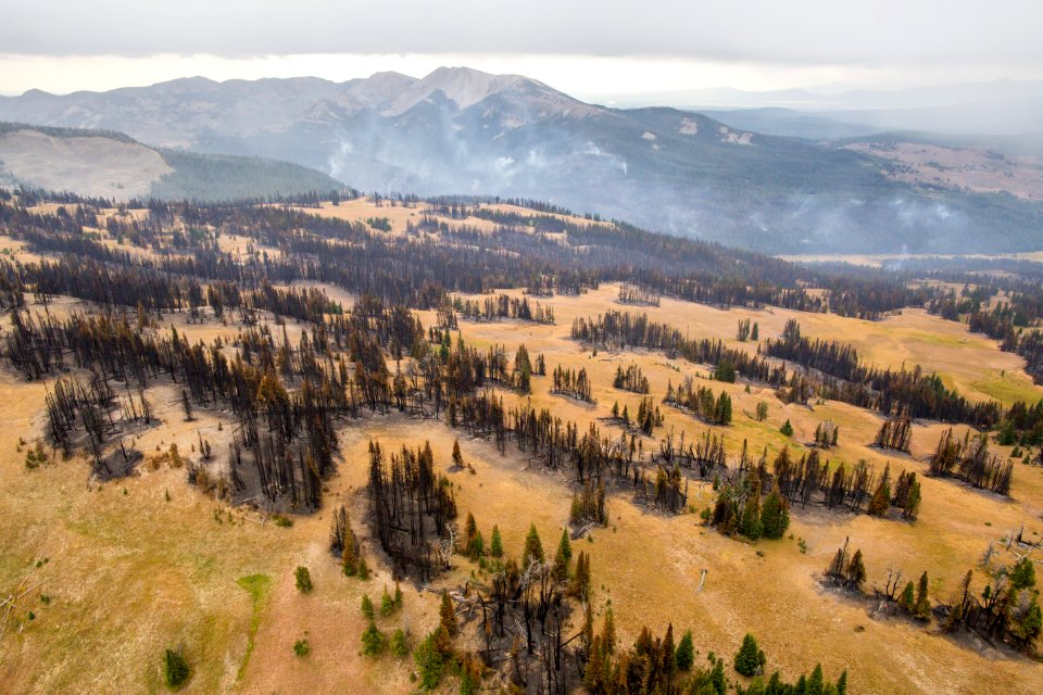 Fawn Fire, September 3, 2016