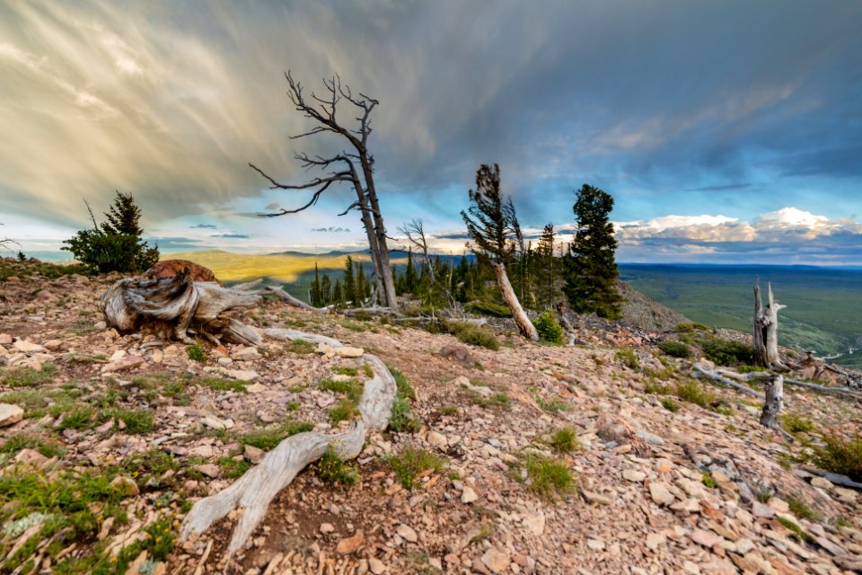 Virga at sunset from the Summit of Bunsen Peak