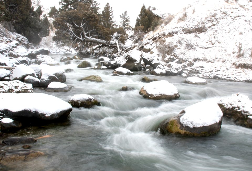 Gardner River photo