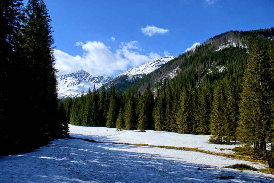 Spring tourism western tatras