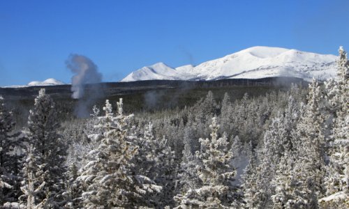 Steam from thermal feature and Mt. Holmes photo