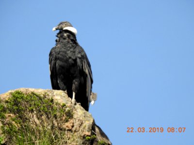 DSCN4111