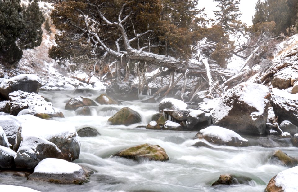 Gardner River