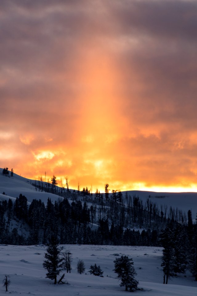 Sunset beam in Lamar Valley