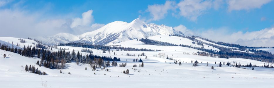 Swan Lake Flat panorama with Electric Peak photo