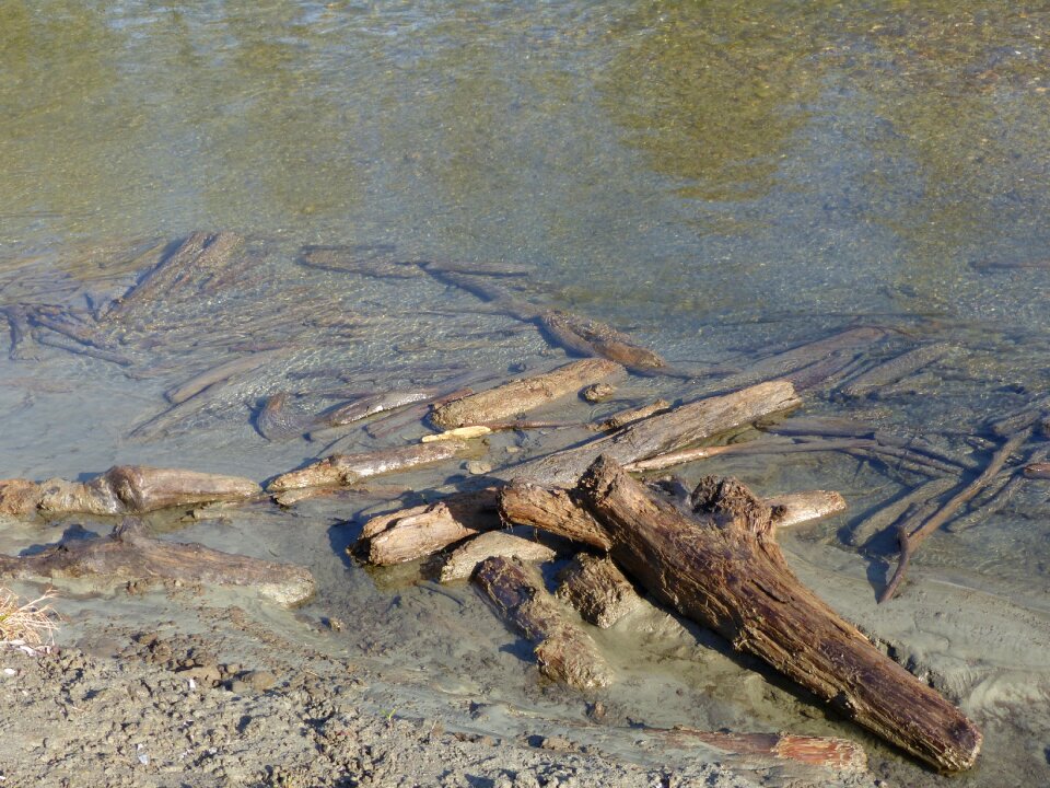 Waters bank mud photo