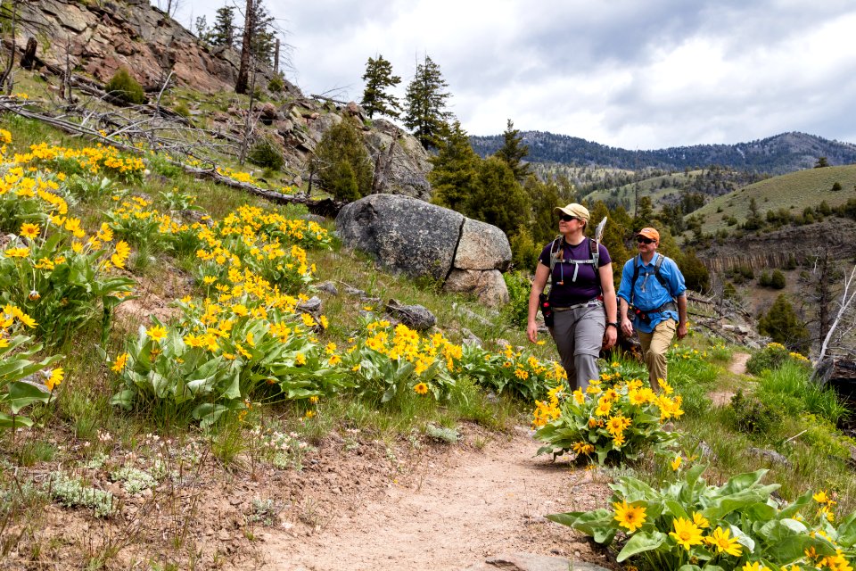 Hikers with arrowleaf balsamroot