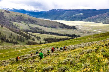 Summer hiking in Lamar Valley (7) photo