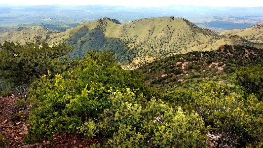 UPPER HUMBOLDT CANYON (8-12-2018) patagonia mts, santa cruz co, az -08 WATERCOLOR