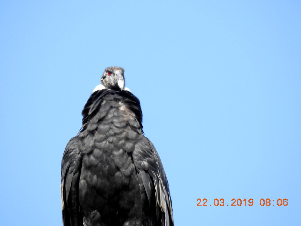 DSCN4109