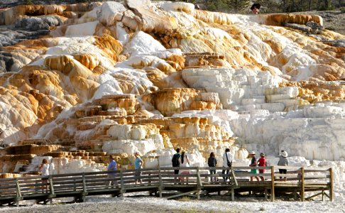 Palette Spring at Mammoth Hot Springs photo