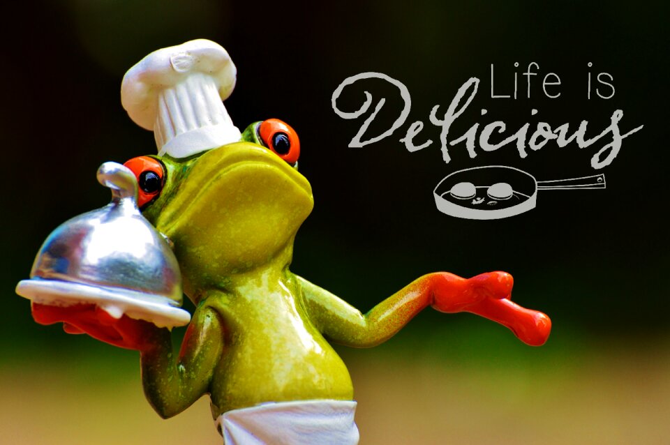 Kitchen gourmet food