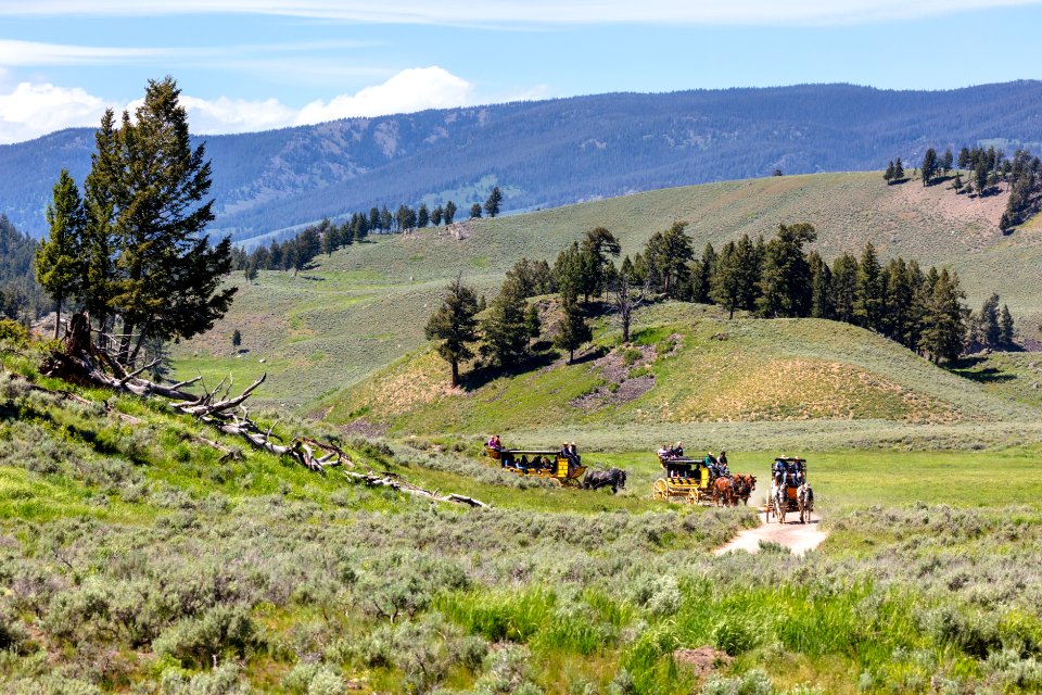 Wagon rides at Tower Junction
