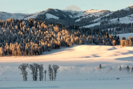 Sunrise from Lamar Buffalo Ranch photo