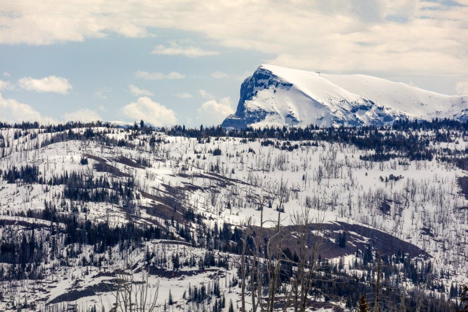 Cutoff Mountain from Buffalo Plateau Trail