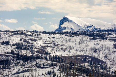 Cutoff Mountain from Buffalo Plateau Trail photo