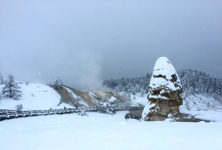 Liberty Cap and Palette Spring photo