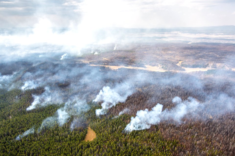 Spruce Fire burn mosaic