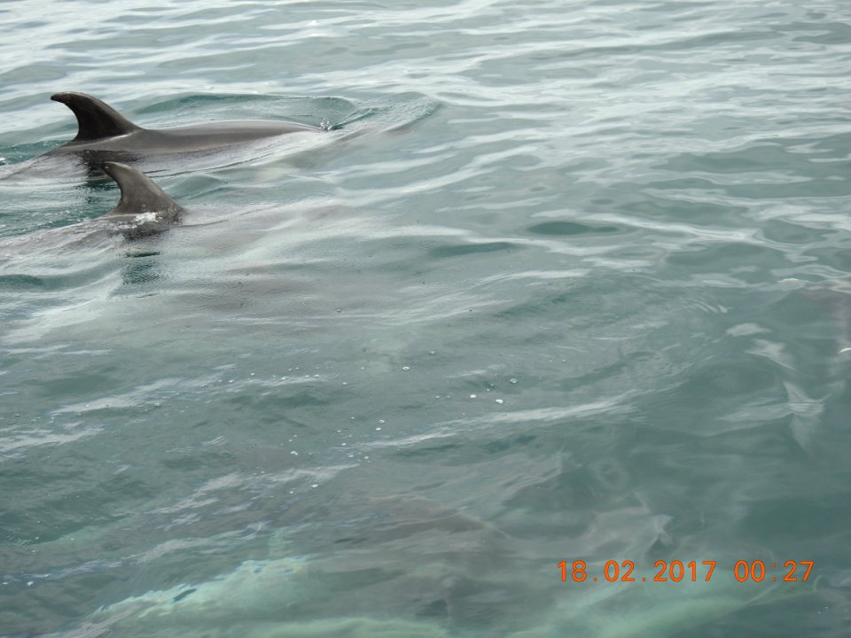 DSCN1466