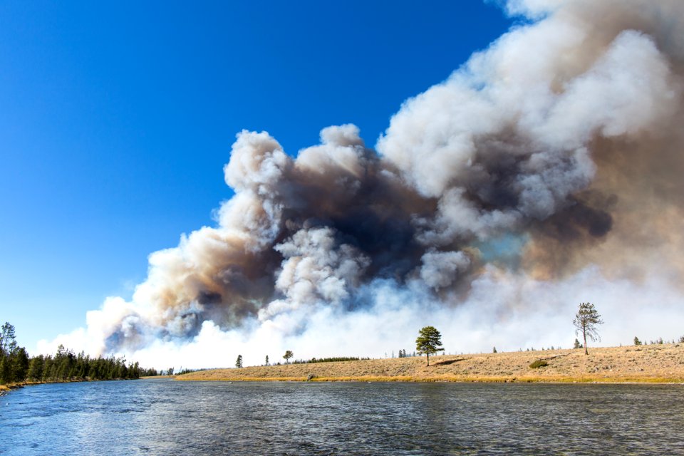 Maple Fire, September 10, 2016