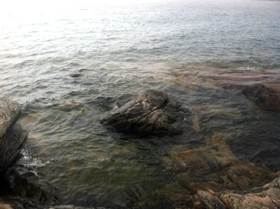 IMG 5529