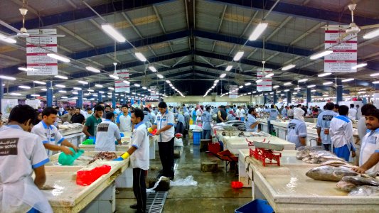 Deira Fish Market