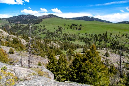 View of Buffalo Plateau from the flank of Hellroaring Mountain