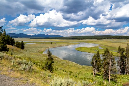 Summer in Hayden Valley and Yellowstone River photo