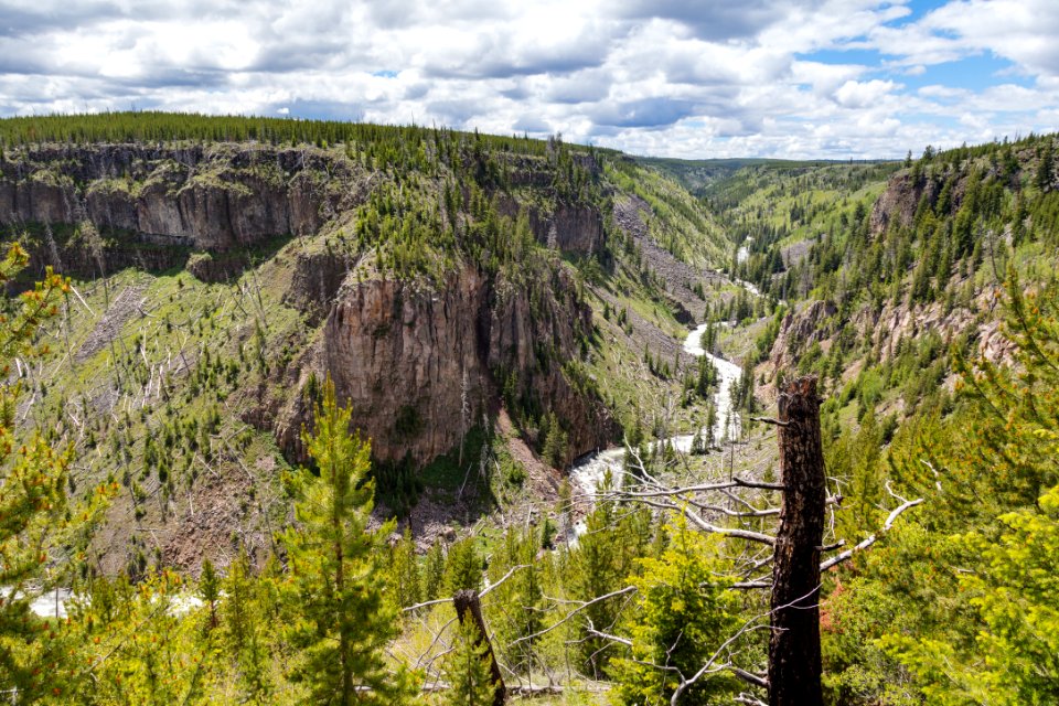 Views of the Gardner River along the Bunsen Peak Road