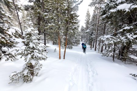 Views along the Snow Pass Ski Trail (3) photo