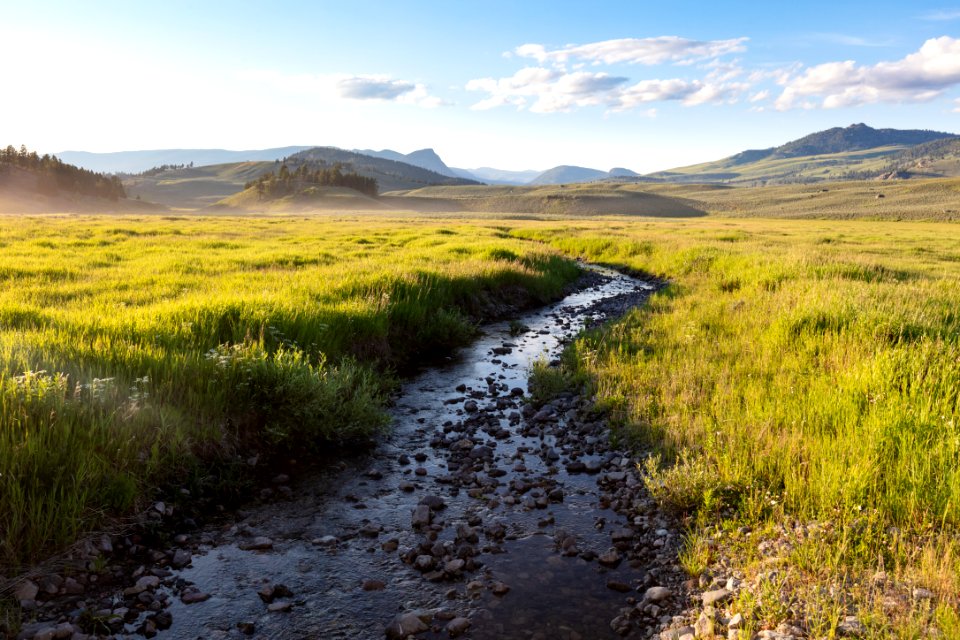 Lost Creek winding through the meadow at Tower Junction