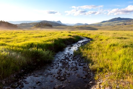 Lost Creek winding through the meadow at Tower Junction
