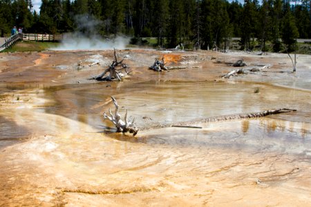 Siliceous sinter and thermophiles at Silex Spring photo