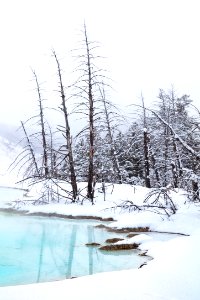 Newly formed pool at Canary Spring (portrait)